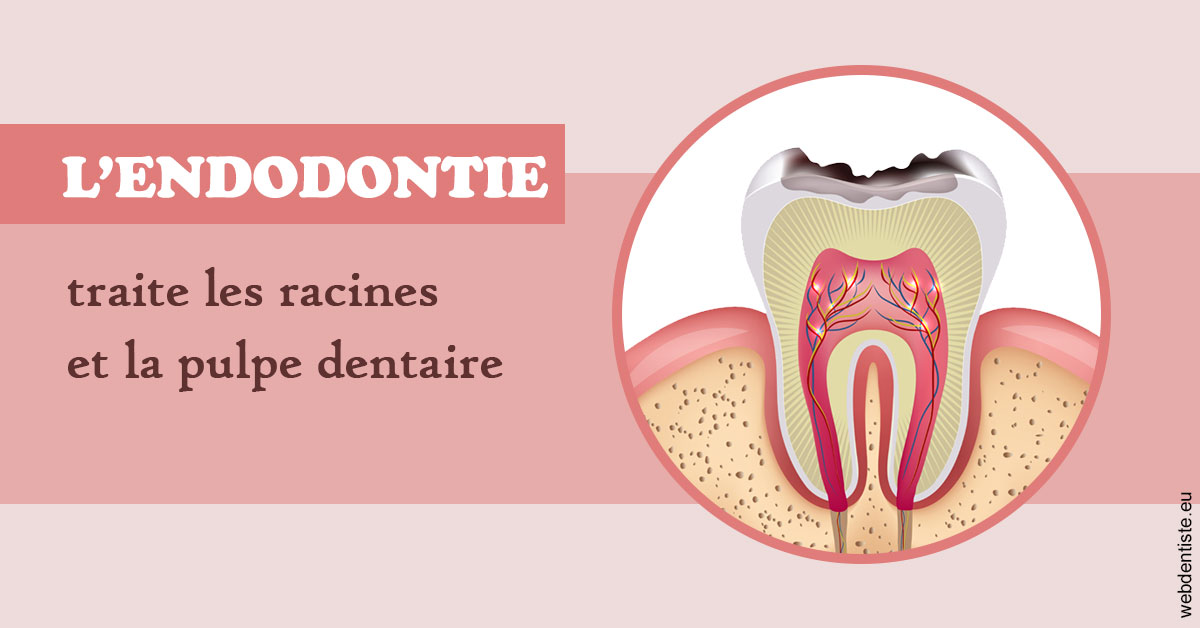 https://selarl-du-docteur-mangez.chirurgiens-dentistes.fr/L'endodontie 2