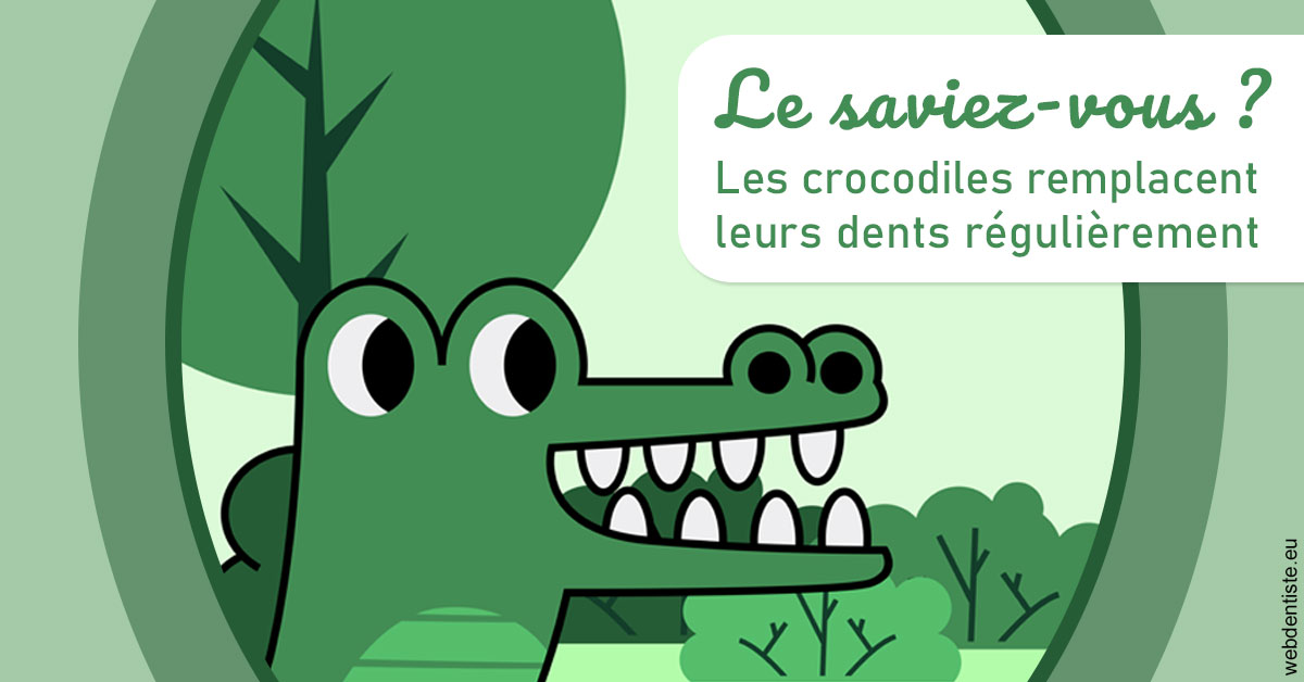 https://selarl-du-docteur-mangez.chirurgiens-dentistes.fr/Crocodiles 2